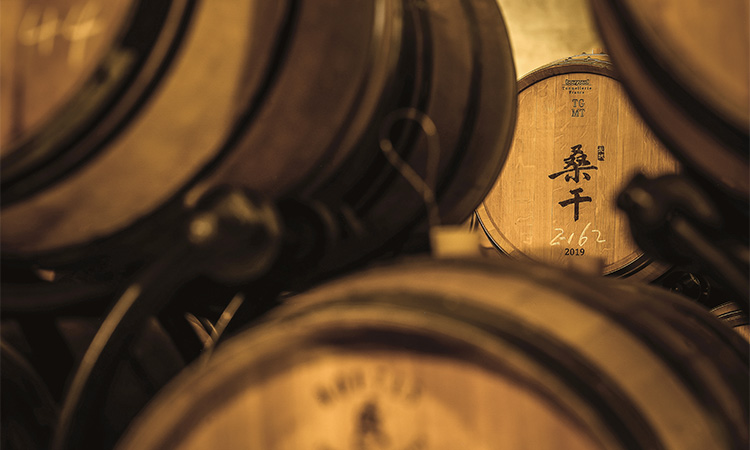 产业概述